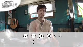 Bluegrass Harmonica ( Lesson 2- Setting the Technical Foundation)