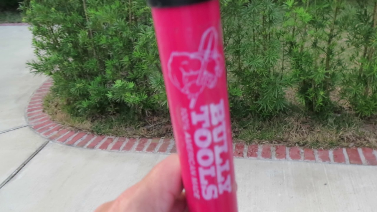 BULLY GARDEN HOE REVIEW