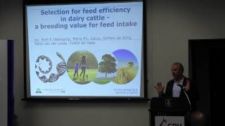 Exclusive CRV Breeding Value Launch Profile