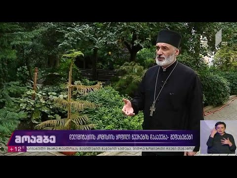 დელიმიტაციის კომისიის ყოფილი წევრების დაკავება - შეფასებები