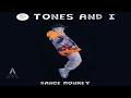 Tones and I - Dance Monkey (Lyrics/Tradução/Legendado)