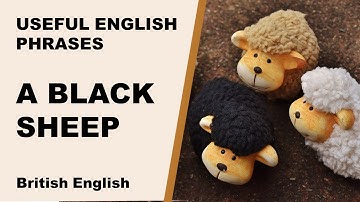 Useful English phrases - A BLACK SHEEP