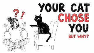 Cats Didn't Get Domesticated.. They Domesticated Us (10,000 Years of Manipulation)