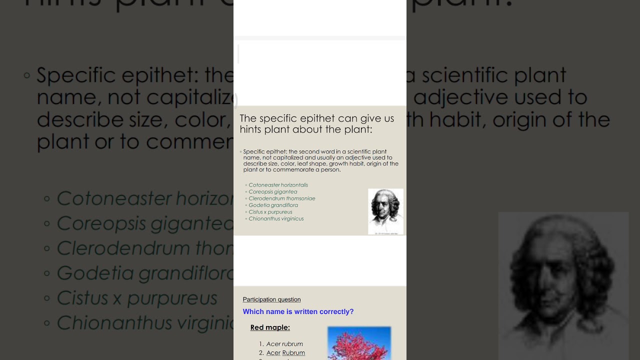 Specific epithet in Taxonomy