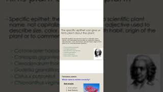 Specific epithet in Taxonomy