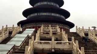 The back of the Chinese Panda - aka the amazing and beautiful temple of heaven in Beijing China