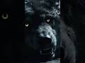 Battle between caveman and dire wolf