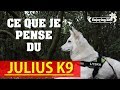 Mon avis sur le harnais julius k9  enjoying life