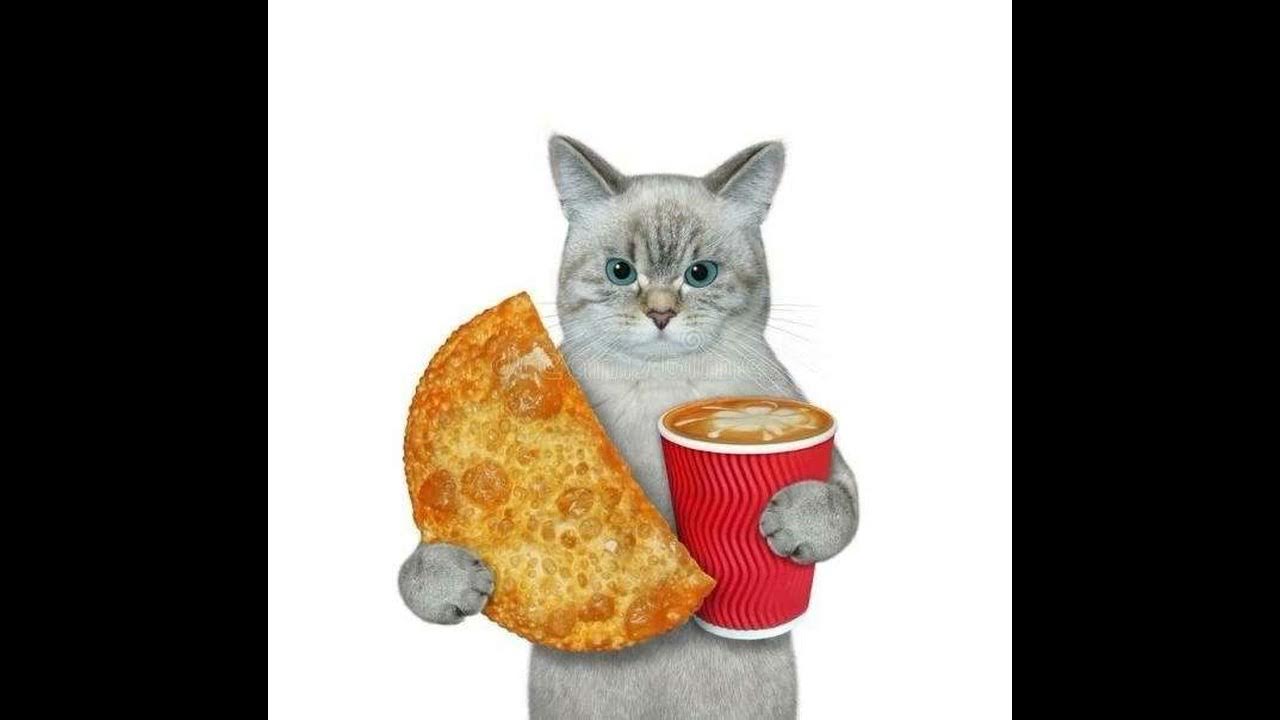 Кот с чебуреком мем