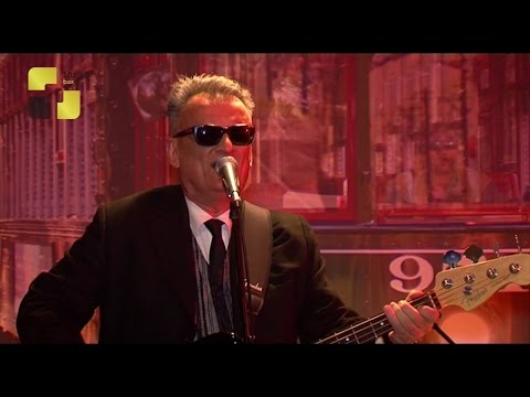 საქართველოს მიკ ჯაგერის ძმა, კრის ჯაგერი ესტუმრება - მზადება ბლუზ ფესტივალისთვის