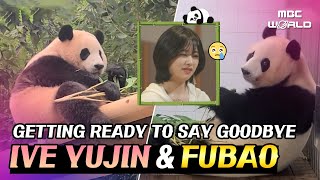 [C.C.] Fubao prepares for the farewell with Mom, bringing tears to Yujin of IVE🥹 #IVE #YUJIN #FUBAO