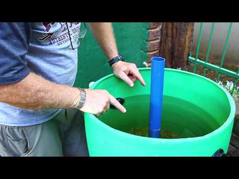 DIY how to build your own Bio Filter system for Kio pond