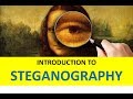Steganography Explained: How Hidden Data Works in Images 📷
