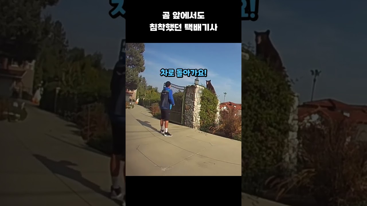 곰 앞에서도 침착했던 택배기사