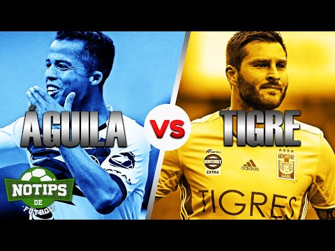 DOS SANTOS VS GIGNAC