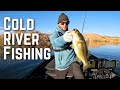 Bass fishing the lower colorado river in yuma az