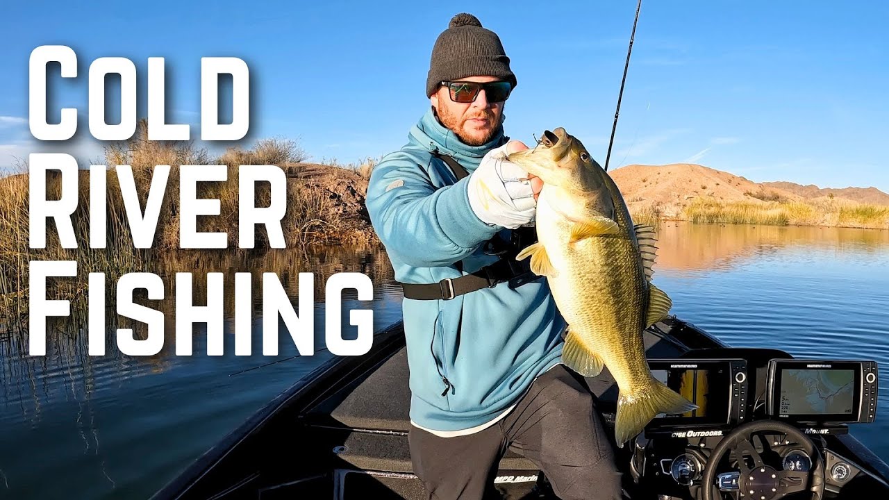 Bass Fishing the Lower Colorado River in Yuma, AZ