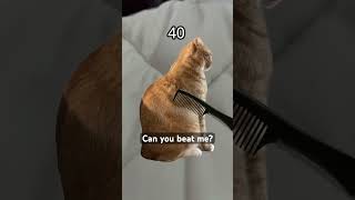 Can you beat me? #effect #challenge #challengeaccepted