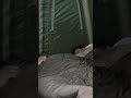 Kampta yemek videoları için bizi takip edin dostlar ☺️