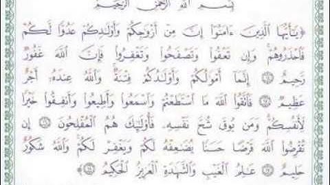 الشيخ مشاري العفاسي  سورة التغابن 14 18)
