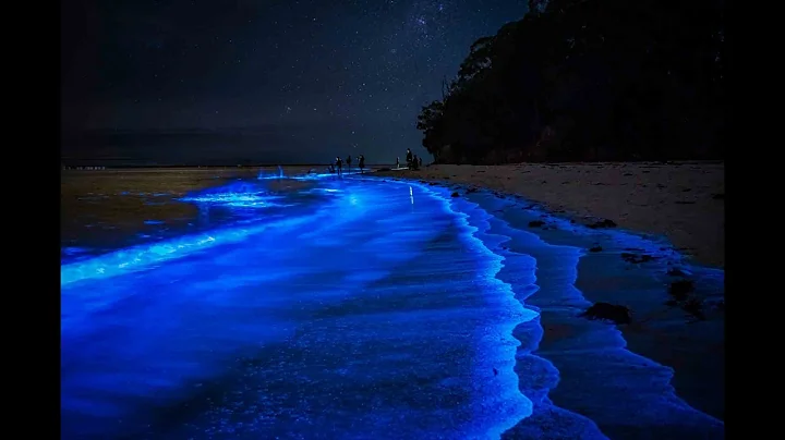 Jervis Bay After Dark