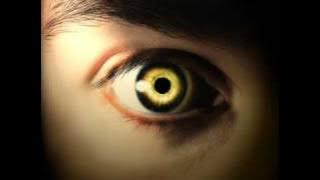 This Cocaine Makes Me Feel Like I'm on This Song - System of a Down (lyrics IN video!)