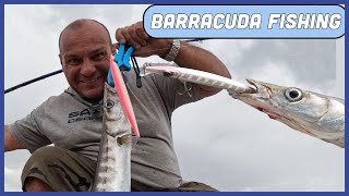 Thrilling Barracuda Encounter Before the Storm Hits! Tips & Explanations! Feat: Barra Jerk 210