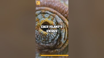 Evolution Unraveled: Darwin