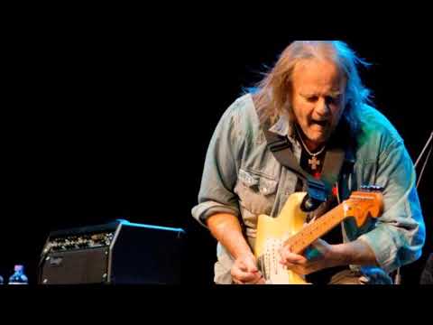Putar Too Much To Carry - Walter Trout