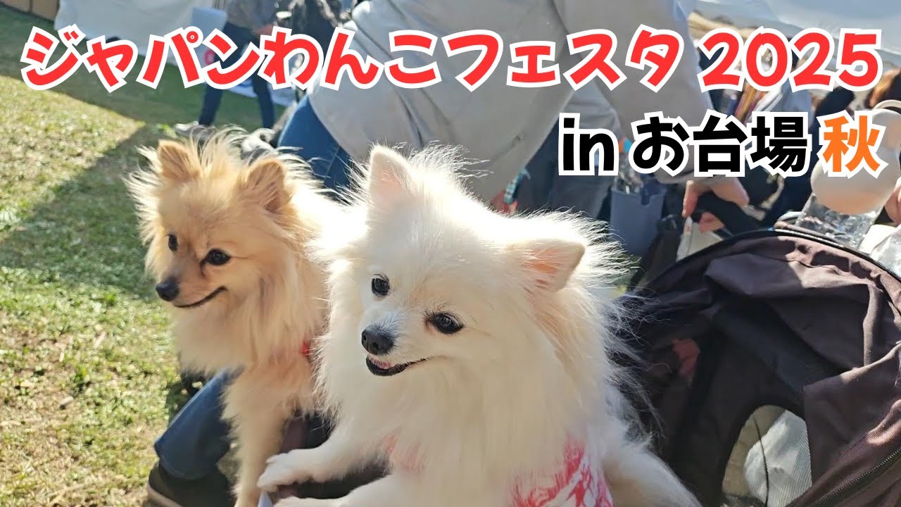 ジャパンわんこフェスタ2025 in お台場秋に行ってきた