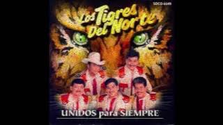 los  tigres del norte mix