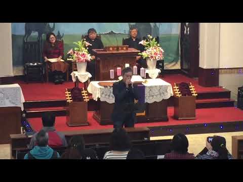 淡水教會 - 田中的白鷺鷥