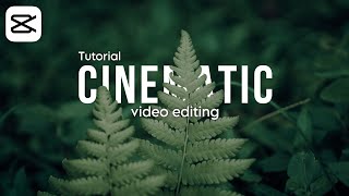Cara Edit Video Cinematic Di CapCut || Edit Cinematic Love Story