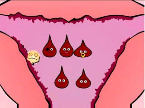 Reduce period from 5 days to 2 days - YouTube