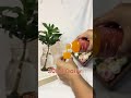 Sea Buckthorn Juice Review by abhi.shek_pathak03 | TheWellnessShop.in