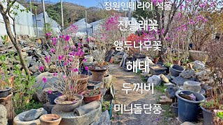 석향방/민속품/야생화/물확/절구/옹기/석등/닭모이돌/돼지구유/옛날방문 카페인테리어 소품