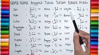 Nama - Nama Anggota Tubuh Manusia dalam Bahasa Arab (Names of Human Body in Arabic)