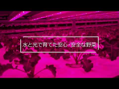 PR動画【実績事例：日本山村硝子株式会社】サンプルNo.2【会社紹介B：少し動きのある起承転結】「BtoBプラットフォーム商談」（売り手）