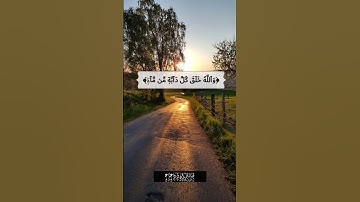 والله خلق كل دابة من ماء/ سورة النور /القارئ 🎙: سعد الغامدي/قرآن كريم