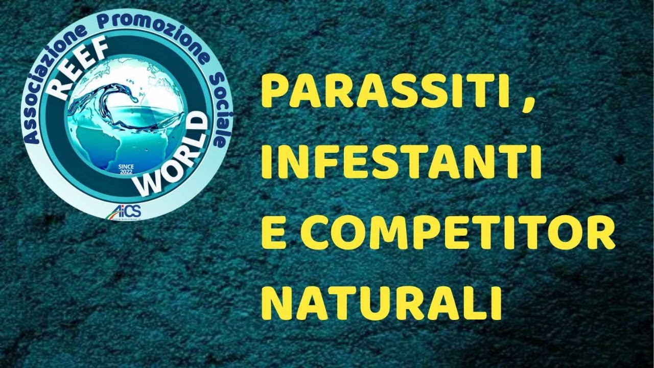 Parassiti, infestanti e competitor naturali by Reef World
