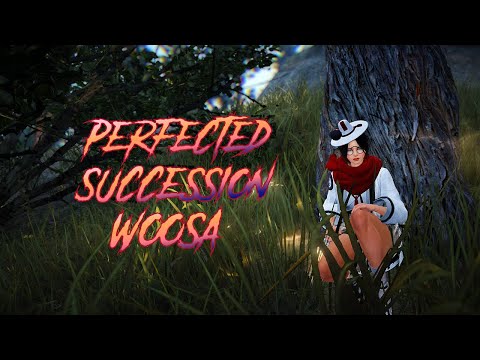 BDO Perfected Succession Woosa PVE Guide