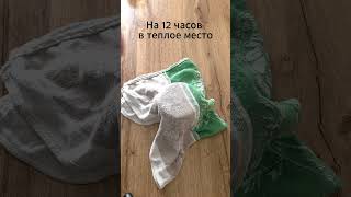 Ядреная горчица на рассоле с медом  #shorts #рецепты