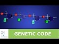 GENETIC CODE