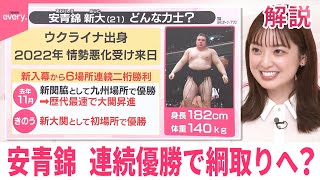 【#みんなのギモン】安青錦  連続優勝で綱取りへ？
