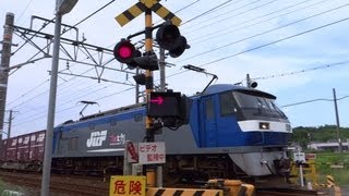 大谷川踏切を通過する1071レ EF210-109[吹]号機牽引貨物 2013/07/01
