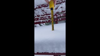 KOIN 6 producer measures how much snow fell in her backyard