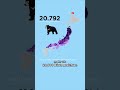 Bärenalarm in Japan | ARTE #expresso