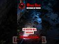 LA BESTIA DEL BOSQUE , #CAMPECHANEANDO #LAMAÑANERA #SHORTS #VIRALSHORTS #TERROR #MONJEROJO