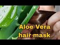 The Real Benefits of Aloe Vera