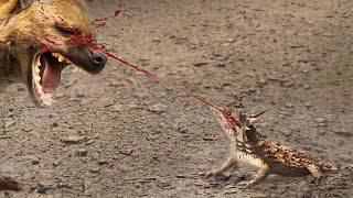 Fatal Ways Animals Protect themselves.. !!